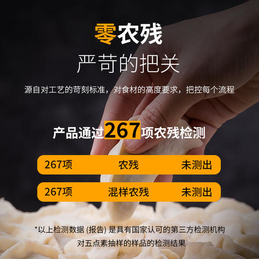 纯素水饺 五种口味 家庭装速冻饺子 营养健康儿童早餐 商品图3