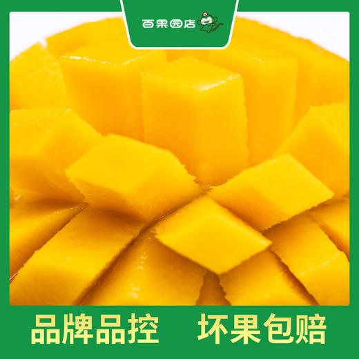 PAGODA百果园 A级-树上熟贵妃芒（中）2kg礼盒装 商品图1