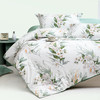 多喜爱 全棉新疆棉清新花卉四件套 绿嘢/柠熙/春日狂想曲hlcs 商品缩略图11