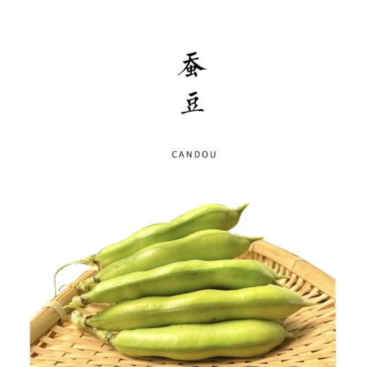 合作 | 带皮蚕豆 2斤  产地：云南 商品图0