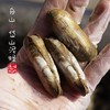 【闹妈】舟山热气鲜活蛏子带泥蛏子当天现挖 400g/盒25个左右不包活 商品缩略图1