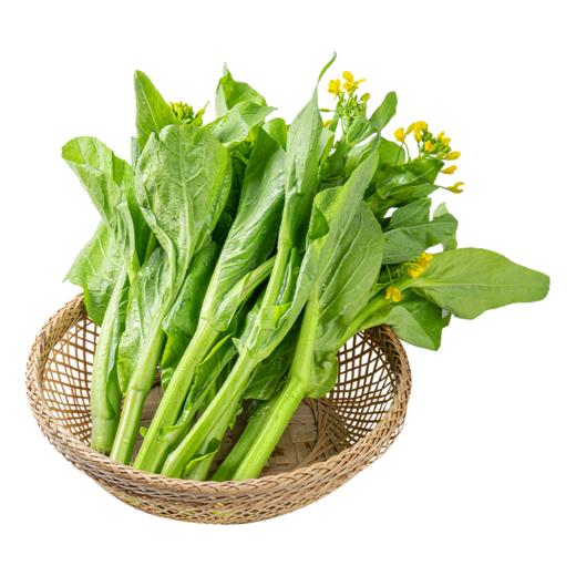 新鲜蔬菜  白菜苔500g 商品图0