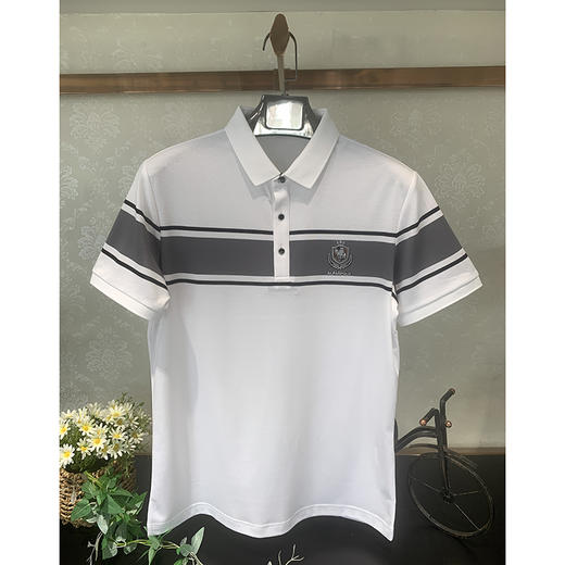 夏季新款薄款撞色宽条翻领polo衫男士短袖T恤   FL-8233015* 商品图0