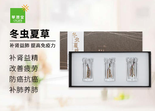 【P】华润堂 冬虫夏草（1克x3瓶） 商品图0