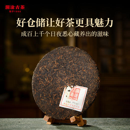 【中老茶开仓专属】澜沧古茶2022年传奇66普洱茶熟茶大饼345g 商品图3
