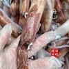【闹妈】 [热气]镇店之宝硬皮鱿鱼句公 1斤5-8只左右共500g±30g 商品缩略图2