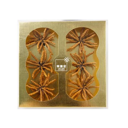 华润堂 冬虫夏草 4900条/千克 22克 商品图2