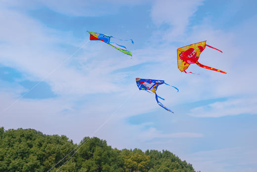 【TOI儿童卡通风筝】春日必备 出游最佳选择 春天的习习微风！灿烂阳光！一起去放风筝  三个插画主题：恐龙、航空、动物  萌趣可爱，放飞童心，放飞梦想  优选210T格子布，好看又耐造 商品图6