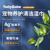babybabe清洁湿巾除臭擦屁屁清洁泪痕抑菌猫咪狗狗宠物湿巾100抽 商品缩略图1