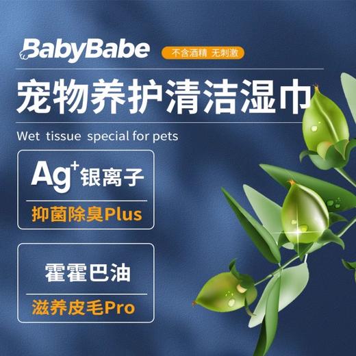 babybabe清洁湿巾除臭擦屁屁清洁泪痕抑菌猫咪狗狗宠物湿巾100抽 商品图1