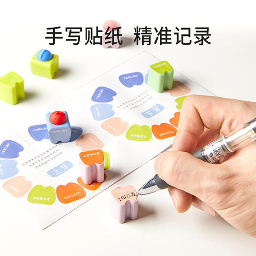 【萌趣乳牙储蓄罐】宝宝乳牙收纳盒婴儿胎毛胎发收藏盒儿童换牙齿收纳纪念盒木制 商品图4