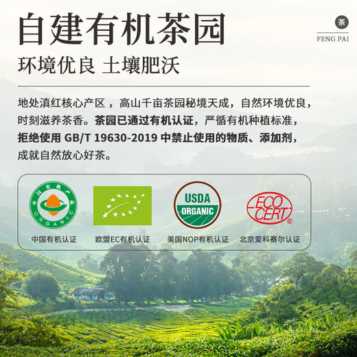 【新品上市】凤牌有机红茶100g臻品58罐装云南滇红茶 商品图5