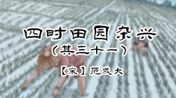 76、四时田园杂兴（其三十一）