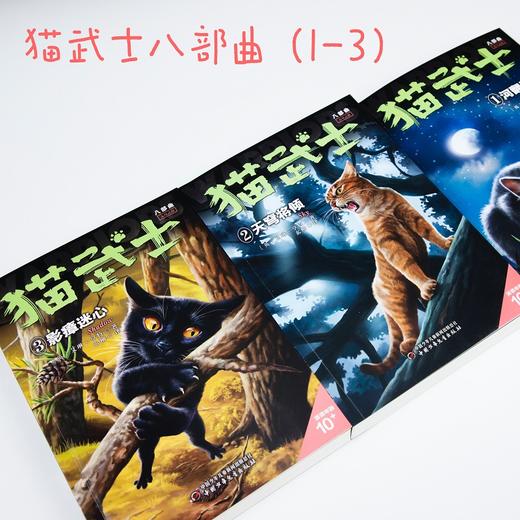猫武士八部曲无星之族(1-3) 商品图1