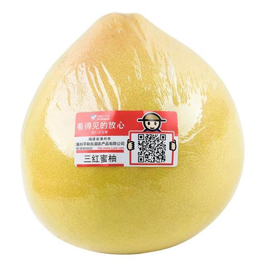 放心三红蜜柚 约1.2kg/个 安全安心可追溯 伊藤自有品牌 商品图4