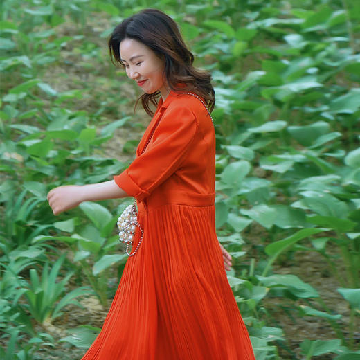 圣三利女装新夏季中长款气质雪纺连衣裙SL2027255 商品图1