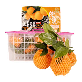 【社区团购】伦晚脐橙3.1kg含箱