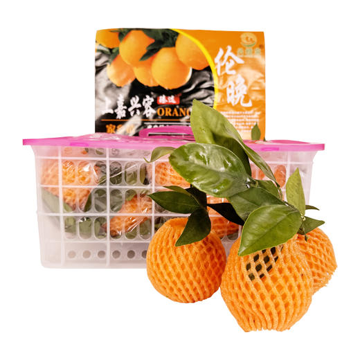 【社区团购】伦晚脐橙3.1kg含箱 商品图0
