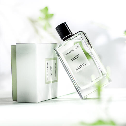 梵克雅宝 非凡珍藏系列-晨雾之茗 Van Cleef & Arpels Thé Amara 分装 商品图3