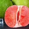 阳光红柚 约1.1kg/个（皮薄肉厚） 商品缩略图0