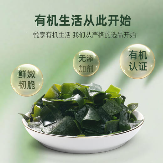 自营-有机幼嫩小海带60g/罐 商品图5