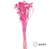 永生花材 | 相思梅玫红 商品缩略图0