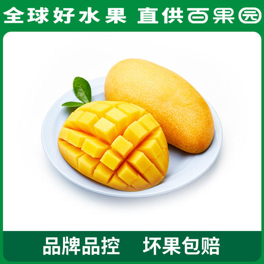 PAGODA百果园 金煌芒（大）8斤彩箱装 商品图6