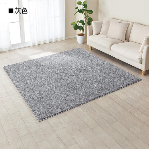 PB长毛绒地毯 素色 灰色 200x240 商品图3