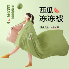 西瓜冻冻夏凉被【2025新款 夏季可裸睡凉感冰丝被子】冰淇淋空调被 夏天可机洗  夏天必备