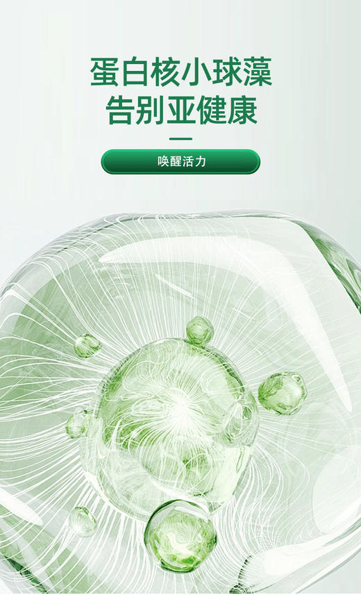 斯诺森牌散节宝蒲公英玉米须蛋白核小球藻粉  呵护肺部 畅快呼吸 美国原装进口 商品图6