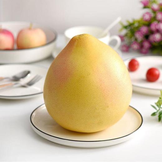 放心三红蜜柚 约1.2kg/个 安全安心可追溯 伊藤自有品牌 商品图0