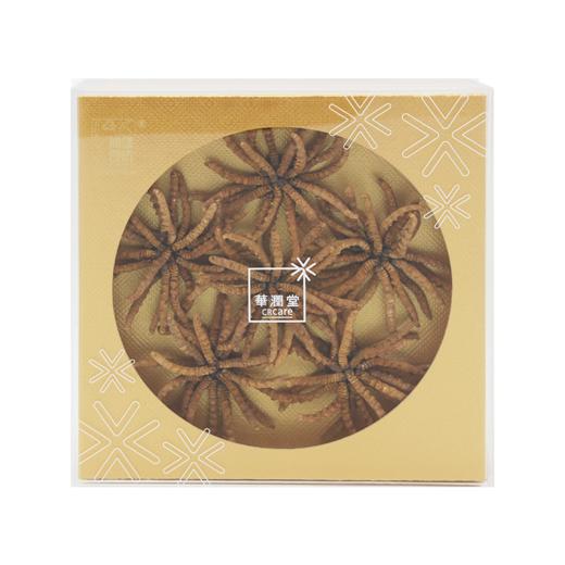 华润堂 冬虫夏草 3900条/千克 35克 商品图0