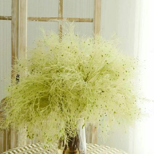 配花-柔丝-5支 商品图0