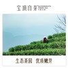 竹叶青宝顶白芽一级50g  茶叶礼盒 商品缩略图2