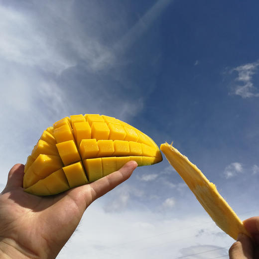 【大青芒】肉厚细腻爆汁高甜、奶油般顺滑无纤维 核薄可食率90%以上，不打药 自然生长，生吃甜品饮品沙拉 商品图6