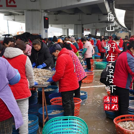 闹妈海鲜】舟山鲜活大皮皮虾虾姑濑尿虾富贵虾保鲜不保活公母混搭 商品图3