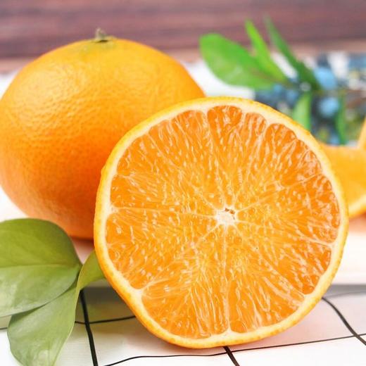 爱媛橙4粒/盒 商品图1