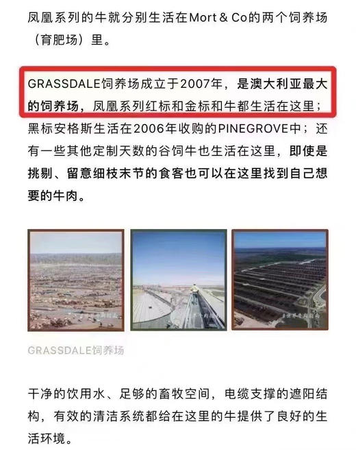 澳洲金凤凰和牛M8-9牛腱，赠送卤料包 商品图10