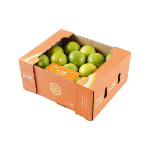 阳光橙5kg 商品图1