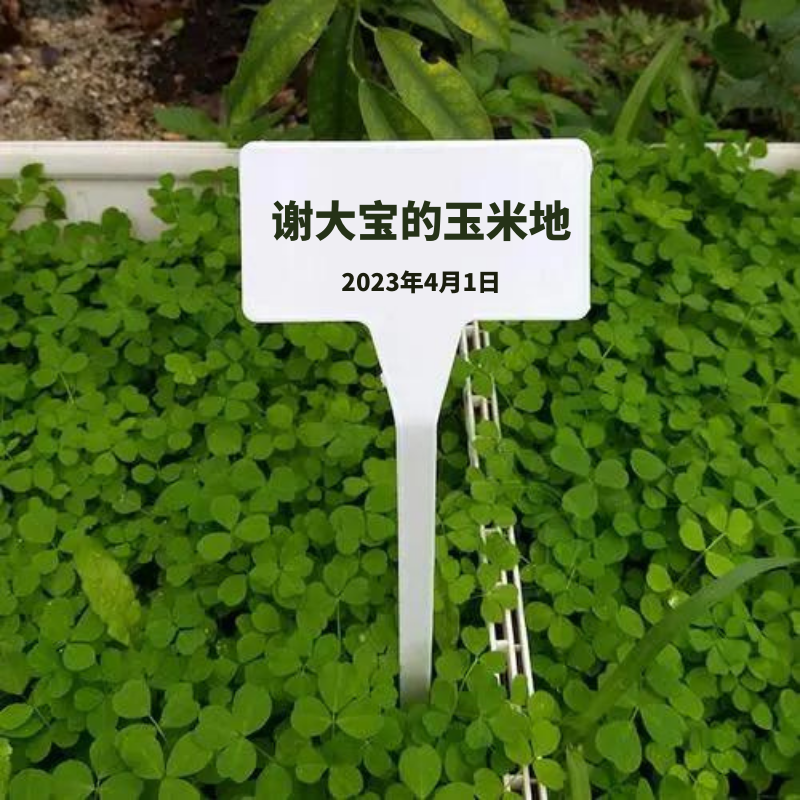 【公益农事】种玉米土豆,3个月后来采收,2-4小时志愿北京时长|5~15岁