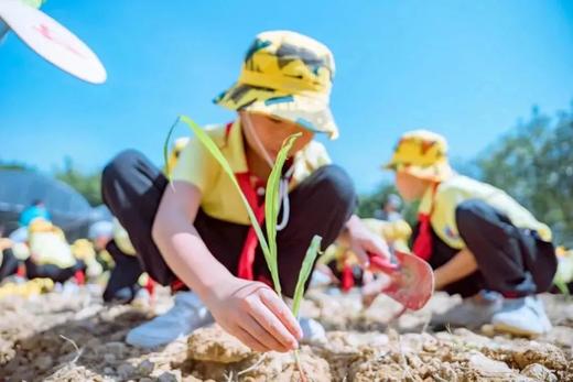 【公益农事】种玉米土豆,3个月后来采收,2-4小时志愿北京时长|5~15岁 商品图2