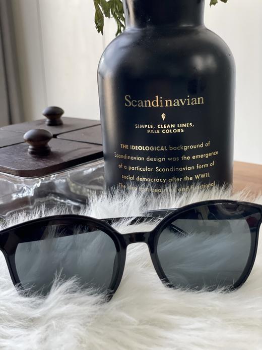 V字墨镜 商品图2