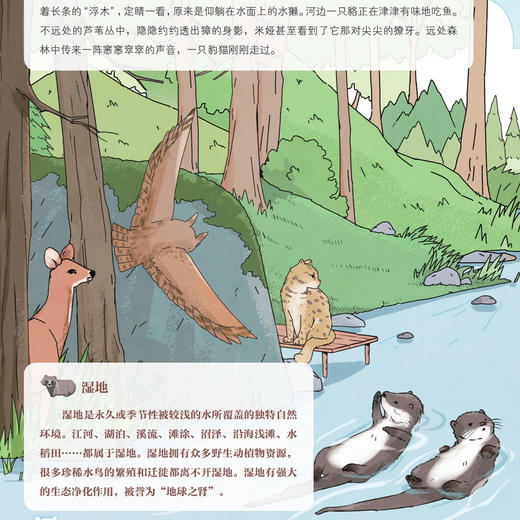 《院士带你去探索》第三辑（共6册） 商品图11