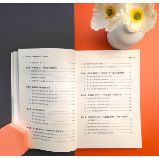 跨学科学习：一种基于学科的设计、实施与评价(夏雪梅 著) 商品图4