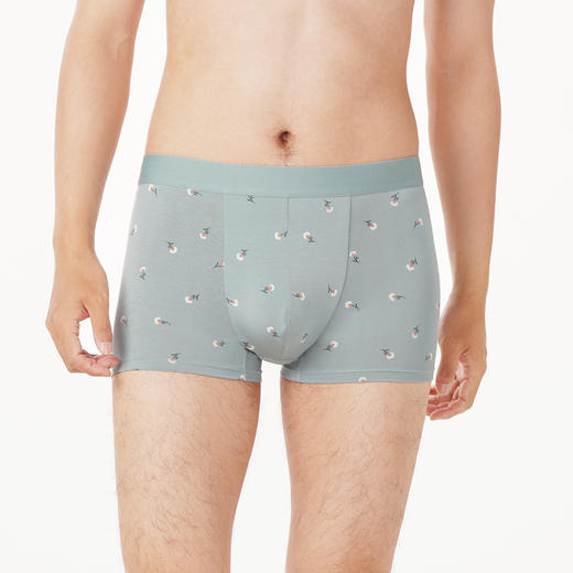 都市丽人都市锋尚日常休闲男士平角裤男50S人棉男士内裤无人棉平角FK4CB7 商品图1