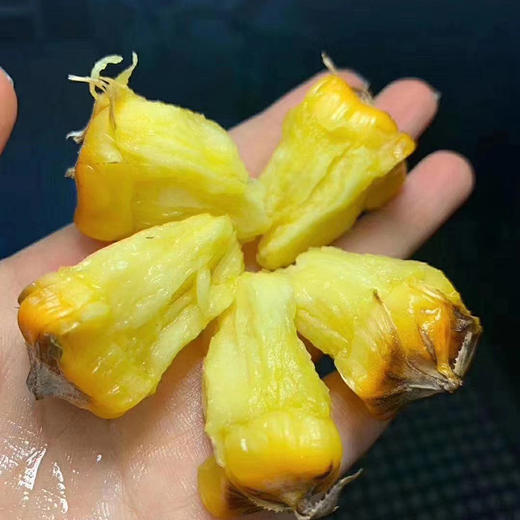 海南【手撕凤梨】香甜多汁 自然成熟 可以撕着吃的凤梨！也称手撕菠萝！ 商品图1