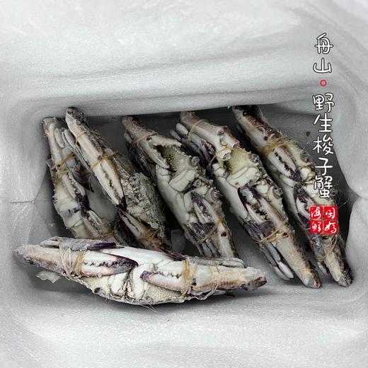 【闹妈】舟山液氮冷冻梭子蟹公蟹白蟹 各种规格 商品图3