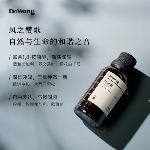 风之歌 护理油 30ml 商品图1