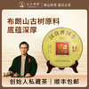 汉合「珍品」古树普洱茶 2023年 普洱生茶 商品缩略图0