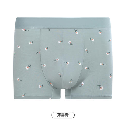 都市丽人都市锋尚日常休闲男士平角裤男50S人棉男士内裤无人棉平角FK4CB7 商品图9